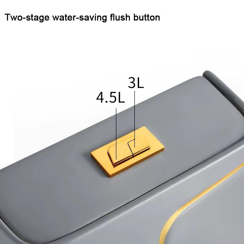 Modern Dual-Flush One-Piece Ce - đánh giá và giá Home One Bathroom Accessories