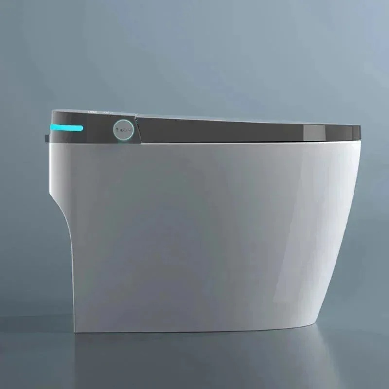 Bồn cầu thông minh hiện đại 20 - đánh giá và giá Home One Bathroom Accessories
