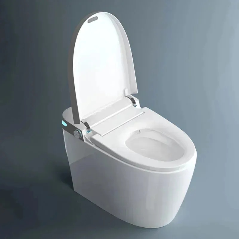 Bồn cầu thông minh hiện đại 20 - đánh giá và giá Home One Bathroom Accessories